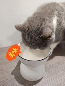 羊奶粉放凉了猫咪还能喝吗 猫咪羊奶粉冲泡温度