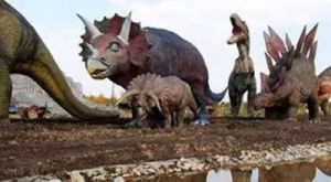 中国发现了一只活恐龙 中国上仅剩一只的动物