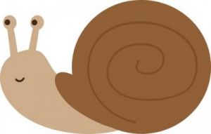 蜗牛动画图片 没壳的蜗牛