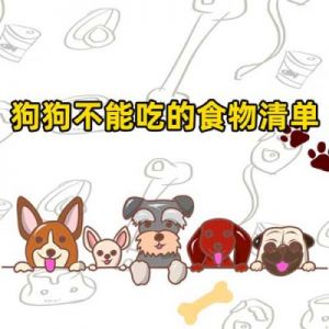 狗狗禁止食物一览表 狗能喝酒吗