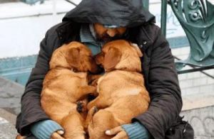 狗狗挽救的是一个家庭 狗狗挽救一个家庭的方法