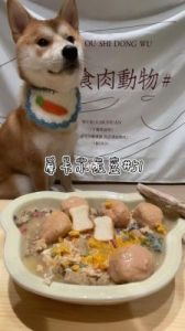 香菜煮的肉狗狗可以吃吗 狗狗能吃香菜吗