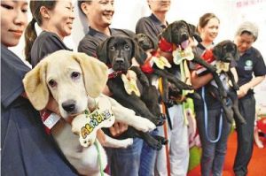 哈尔滨地铁试行“持证上岗”服务犬政策，导盲犬成为首批受益者