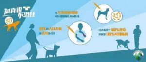狗狗多大能打狂犬疫苗 刚打狂犬疫苗可以摸狗狗吗