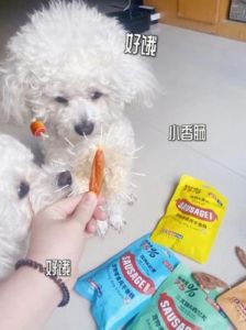 馒头加香肠可以给狗狗吃嘛 香肠馒头图片