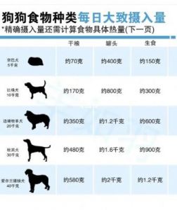 六十天的狗狗饭量大概多少 十斤狗狗的饭量