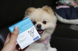 狗狗喝葡萄糖一天喝多少正常 狗狗肠胃炎在家自救方法