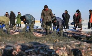 村民捞鱼捞出亿年前淡水凶猛鱼——长吻雀鳝，一种可能对本地生态系统构成威胁的外来物种