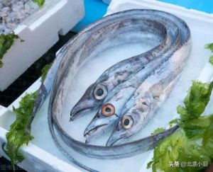 海鱼与淡水鱼的营养价值对比：哪个更胜一筹？