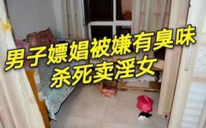 杭州一女子被指用小刀捅刺小猫，残忍行径引发社会关注