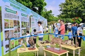 广州动物园举办“世界野生动植物日”活动，多种珍稀野生动植物标本亮相