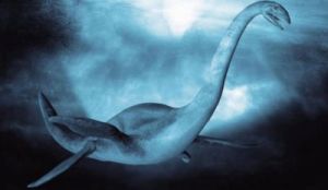 渔船捕获巨大神秘生物 姥鲨