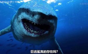 巨齿鲨还存在吗 巨齿鲨真的灭绝了吗