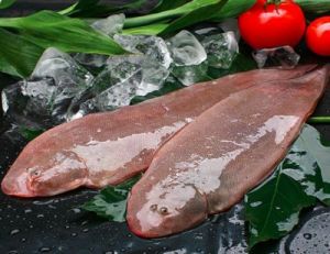正宗龙利鱼多少钱一斤 巴沙鱼是海鱼还是淡水