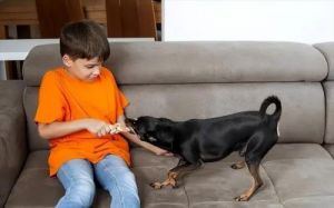 狗狗和你玩的时候咬你 狗狗撒娇时会咬你一下
