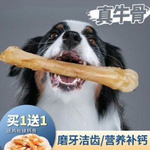 狗狗多大可以给它骨头磨牙 自制狗狗磨牙骨头