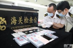 上海浦东国际机场海关首次截获变色树蜥，加强出入境生物安全管理
