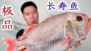 寿星鱼 老头鱼图片
