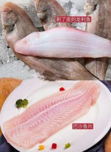 巴沙鱼和龙利鱼 龙利鱼是什么鱼