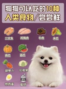 狗狗不能吃的20种食物 狗能吃黄瓜吗