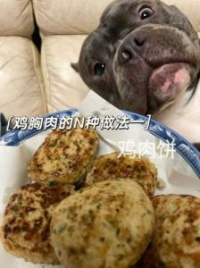 给狗狗做手术后的饮食 狗狗手术后疼的表现