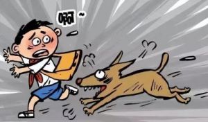 小狗狗咬人的画面描写 描写狗狗看人的句子