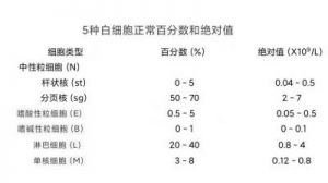 验尿白细胞三个加号 狗狗尿白细胞三个加号