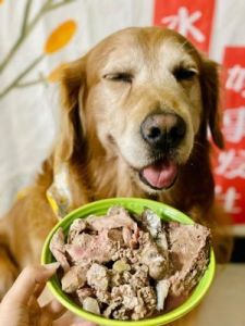 狗狗喜欢往狗粮里加肉吃 狗狗吃狗粮好还是吃饭好