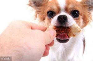狗狗吃盐的危害 狗狗可以吃盐多的食物
