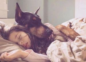 狗狗晚上要跟人睡怎么办 人怎么跟狗狗沟通说话