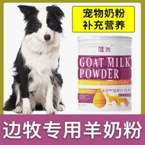 狗狗喝了人的奶粉会怎么样 狗狗吃什么样的奶粉