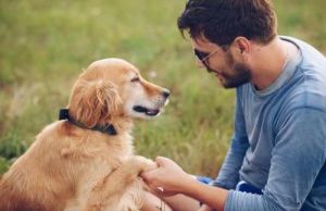 怎么跟狗狗快速增进感情 夫妻增进感情的7个方法