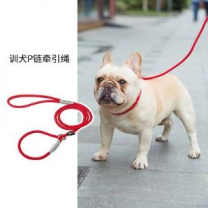 为什么狗要吃狗绳子呢 为什么狗喜欢吃粑粑