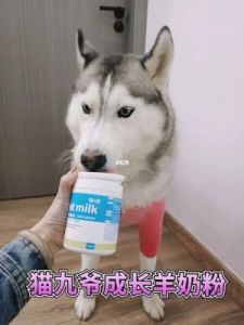 狗狗奶粉怎么冲 狗狗奶粉排行榜