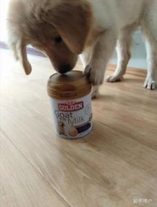 狗为什么要喝狗奶粉呢 孕妇奶粉什么时候喝最好