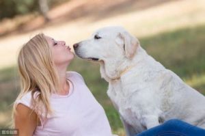 狗为什么和狗接吻会叫 女子和宠物狗接吻