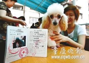 狗狗身份证怎么办 狗狗图片