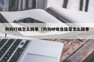 狗狗一直打嗝怎么回事 狗狗拉稀像泥浆很臭