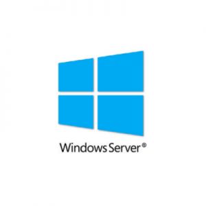 Windows VPS：哪个版本最适合提高服务器性能？