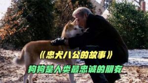 关于狗狗的电影 吴京电影大全免费观看