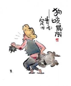 狗为什么啃腚 狗为什么啃墙