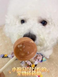 狗能吃糖吗 狗吃糖图片