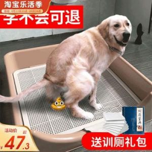 狗为什么不进便盆 狗厕所便盆