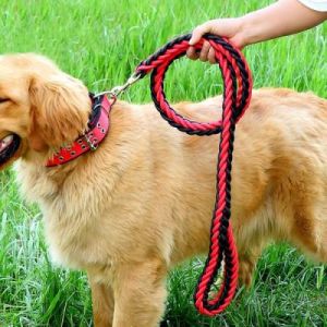 宠物狗链条，舒适耐用，安全可靠，适合各种体型狗狗使用
