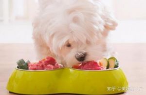 当狗狗误食韭菜时，应如何处理？