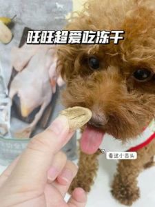 狗狗吃狗粮上火症状及应对措施