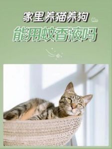 狗狗误食蚊香后紧急处理方法