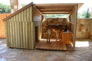 制作温暖舒适的狗狗窝：用保温板打造宠物新家