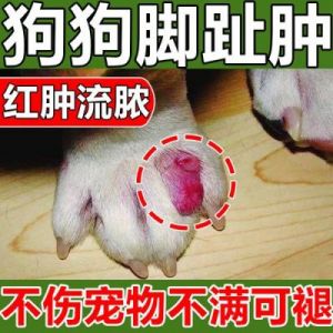 治疗狗狗脚趾炎的常见方法