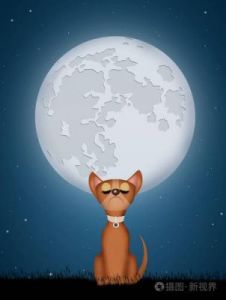 为什么狗会在月亮下望？